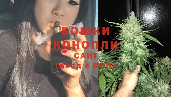 шишки Баксан