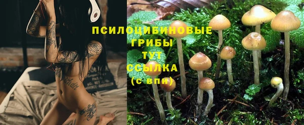 шишки Баксан