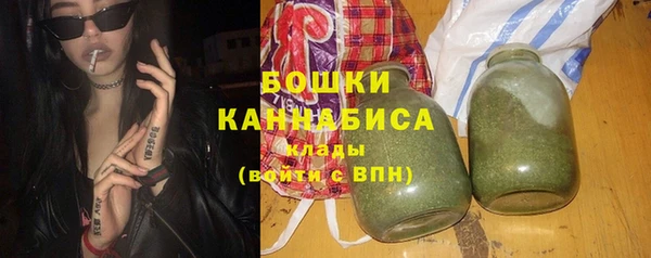 шишки Баксан