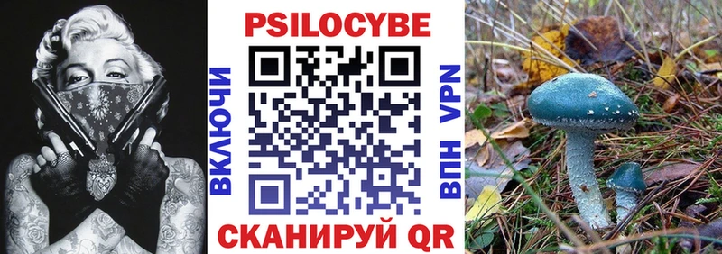 KRAKEN онион  Ливны  Галлюциногенные грибы Magic Shrooms  наркота 